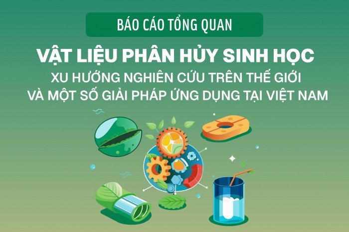 Báo cáo tổng quan: Vật liệu phân hủy sinh học